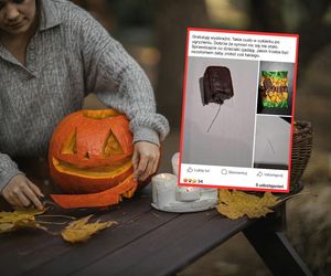 Cukierek albo psikus, czyli igła w cukierku? Halloweenowy horror pod Warszawą