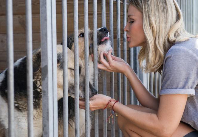 Joanna Krupa opiekuje się zwierzętami w schronisku