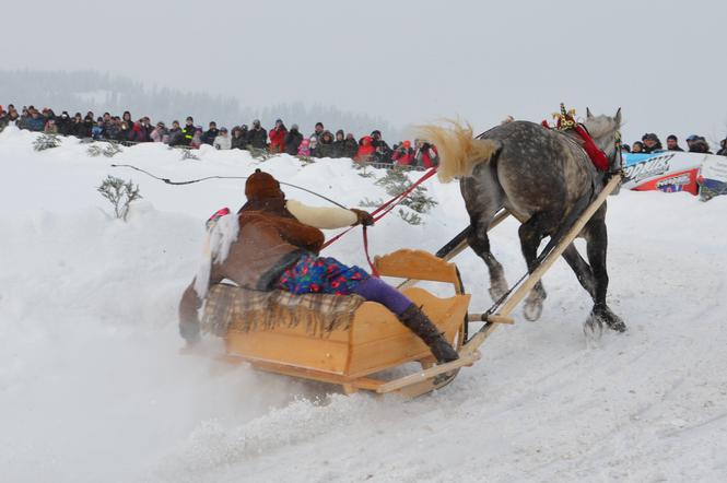 Kumoterki i ski-skiring w Bukowinie Tatrzańskiej