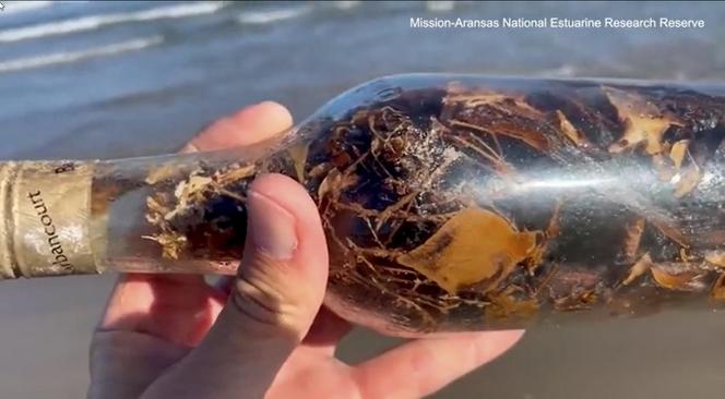 Tajemnicze butelki na plażach! To mogą być czary