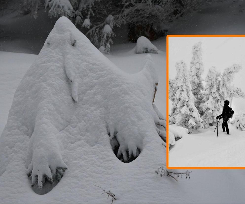 Dziwne stwory w górach. Śnieżne duchy straszą turystów