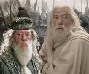 Sir Ian McKellen jako Albus Percival Wulfryk Brian Dumbledore