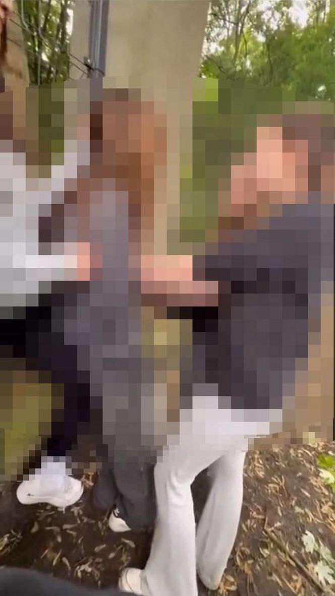 Brutalny atak na 14-latkę w Zielonej Górze! Wstrząsające nagranie trafiło do sieci