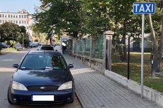 Kierowcy w Tarnowie parkują na postoju taksówek. Strażnicy miejscy muszą coraz częściej interweniować