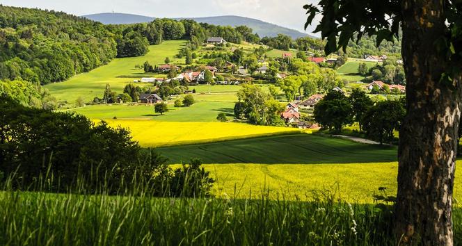 Najmniejsze powiaty Dolnego Śląska. Sprawdź, ile mają mieszkańców 