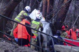 Koszmarny wypadek pod Warszawą. Taksówka owinęła się o drzewo. Kierowca cudem uszedł z życiem!