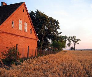   Barciany. Ta wieś w woj. warmińsko-mazurskim dawniej była miastem. Skrywa wyjątkowy zamek