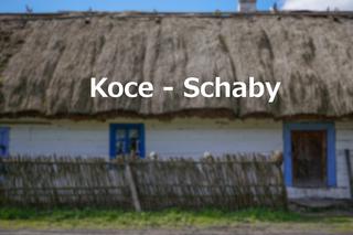 Koce - Schaby