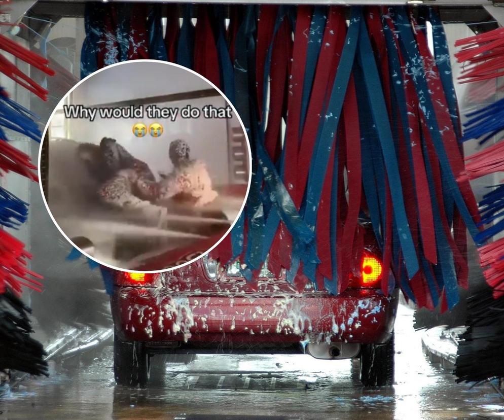 Dwie dziewczyny wykąpały się w myjni samochodowej. Tragedia była blisko