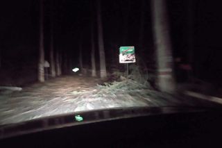 Wichura przechodzi przez Dolny Śląsk. Połamane drzewa, zablokowane drogi 