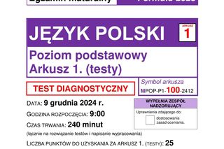 Matura próbna polski. Arkusze CKE i odpowiedzi PDF. Zobacz, co było na maturze z polskiego [9.12.24]