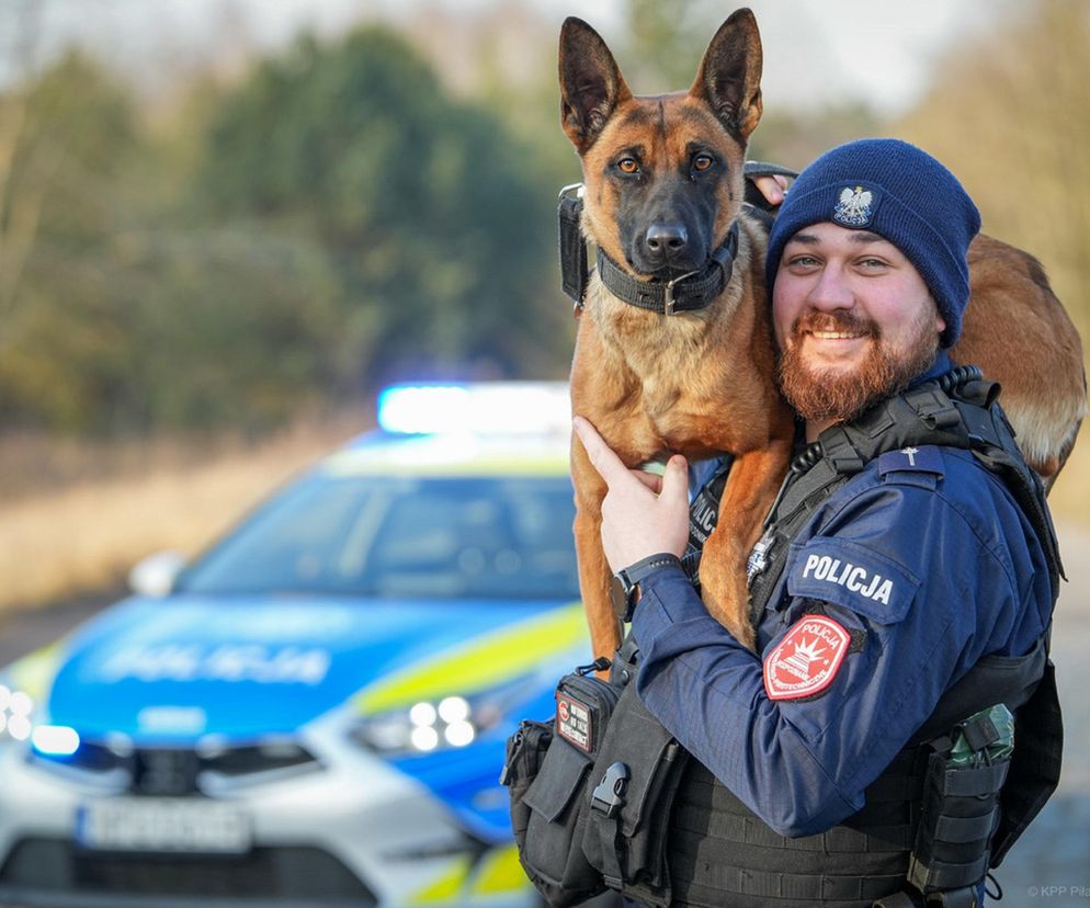 Szpilka – nowy czworonożny funkcjonariusz w Pile