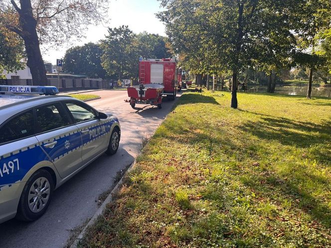 Sokołów Podlaski: 20-letni kierowca spowodował kolizję i wjechał do stawu