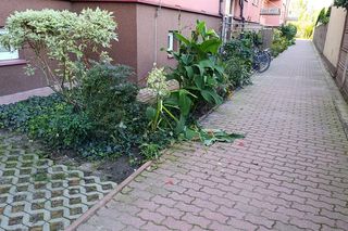 Niewiarygodne! 22-latek skoczył z drugiego piętra i uciekł do mieszkania. Co się stało w Siedlcach?