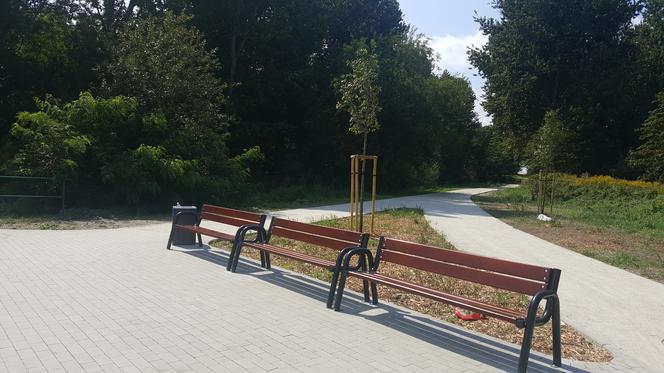 Pomost widokowy na Pogorii II w Dąbrowie Górniczej