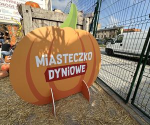 Miasteczko dyniowe w Śremie