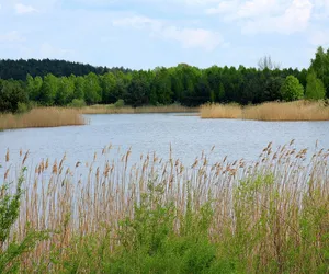 Pamiętajmy o bezpieczeństwie nad wodą!