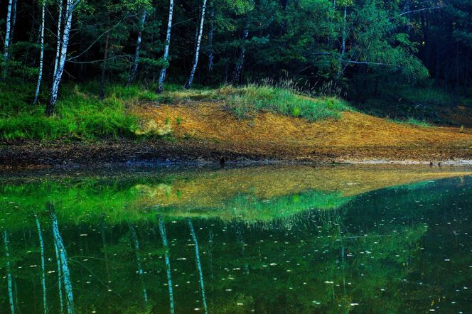 Kolorowe jeziorka w Bibieli na Pasiekach to atrakcja województwa śląskiego