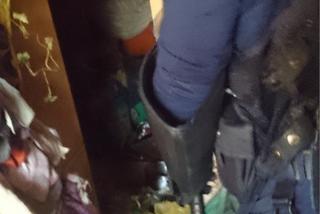 Dom grozy w Łodzi: Dwoje dorosłych i 20 wychudzonych psów żyło w niewyobrażalnym SMRODZIE I SYFIE!