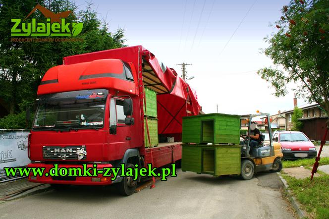Zylajek