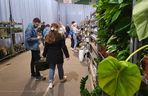 Bydgoszcz rozkwitła zielenią w Łuczniczce. Tak było na Festiwalu Roślin