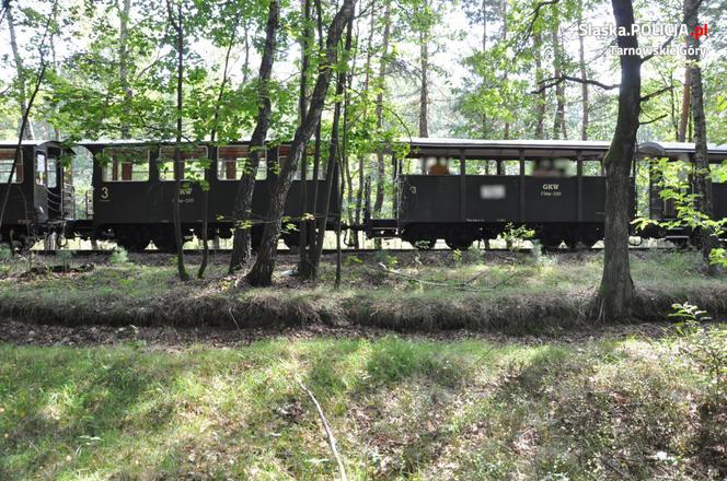 Mężczyzna potrącony przez kolejkę wąskotorową [ZDJĘCIA]