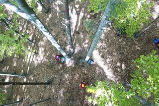 Paralotniarz utknął na drzewie - uratowali go ratownucy z Podhalańskiej grupy GOPR