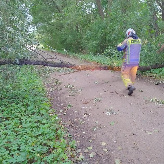 Wichury w Podlaskiem. Setki interwencji strażaków w całym regionie