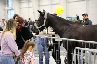 To gratka dla miłośników zwierząt! Przed nami ZooPark