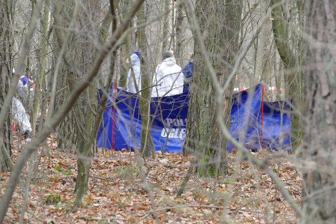 Szokujące morderstwo kobiety w parku