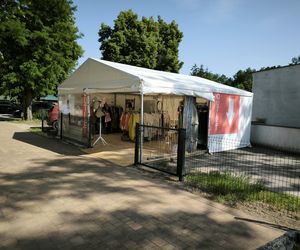 Plaża w Osieznej
