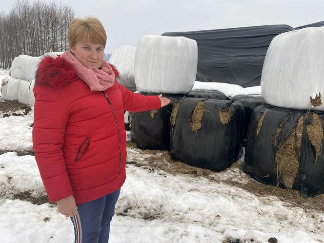 Żubry wyjadają nam jedzenie