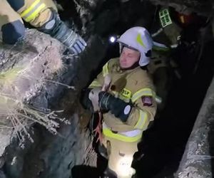 Bocian wpadł do 24-metrowego komina. Strażacy ratowali go 3 godziny [ZDJĘCIA]. 