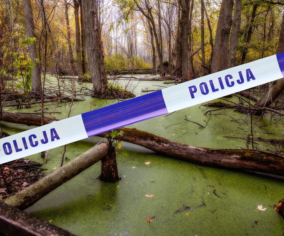 Makabryczne odkrycie na mokradłach. Kim jest zmarła kobieta?