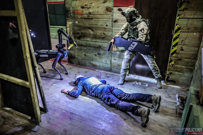 Ma cztery łapy, stalowe serce i właśnie podał łapę policjantowi. „Robopies” nowym hitem w służbach