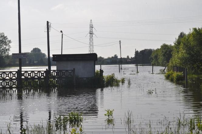 Powódź w Kaliszu - wysoki stan wody Prosny