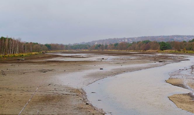 Mroczne klimaty nad zalewem brodzkim. Idealne na spacer dla fotografów