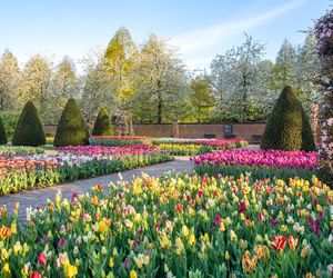 Ogród Keukenhof w Holandii