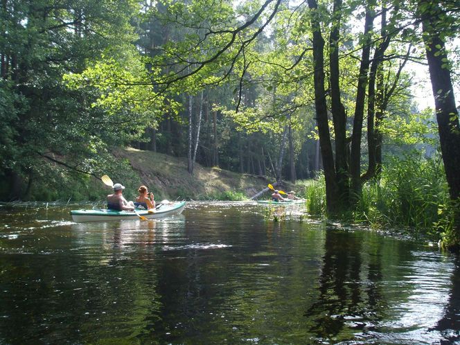Najlepsze trasy wodne na Podlasiu na letni weekend
