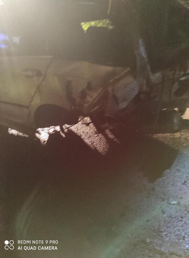 Podkarpackie. BMW wypadło z drogi [ZDJĘCIA]