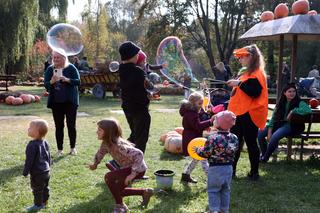 Farma dyń w Lublinie
