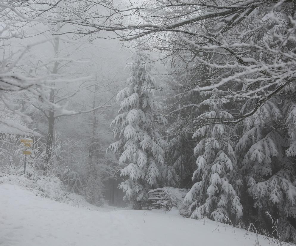 Ostre śnieżyce to nie jedyny problem! Alarm drugiego stopnia w Polsce [Prognoza IMGW na 20.01.2023]