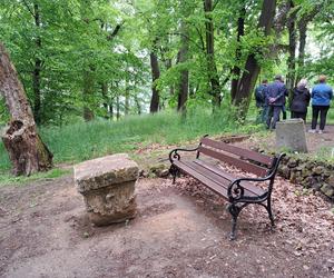 Poszukiwanie mogiły żołnierzy niemieckich w Parku Sanguszków w Tarnowie