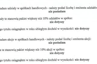 Udziały w spółkach