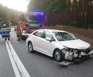 Tragiczny wypadek w Emilianowie. Zginęła czteroosobowa rodzina. Sprawcą był Tomasz L.  może być tak