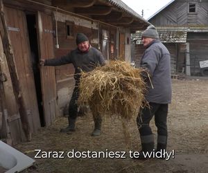 Rolnicy. Podlasie. Gienek i Sławek karmią zwierzęta.  A nie przestraszą się ciebie krowy?