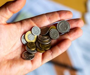 Świadczenie wspierające a świadczenie pielęgnacyjne 2024
