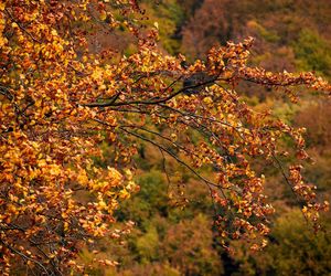 Małopolska wieś, która zachwyciła filmowców. Jesienią można poczuć się jak na planie