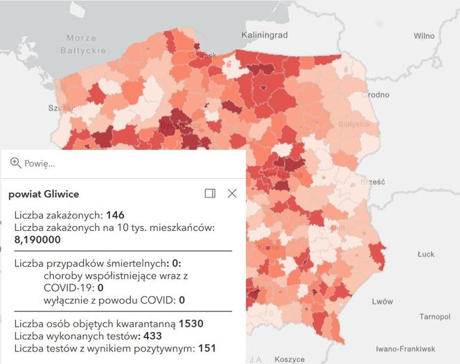 Koronawirus w województwie śląskim. Tak wygląda sytuacja w poszczególnych powiatach [RAPORT, 19 MARCA]