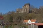 Zamek Świny